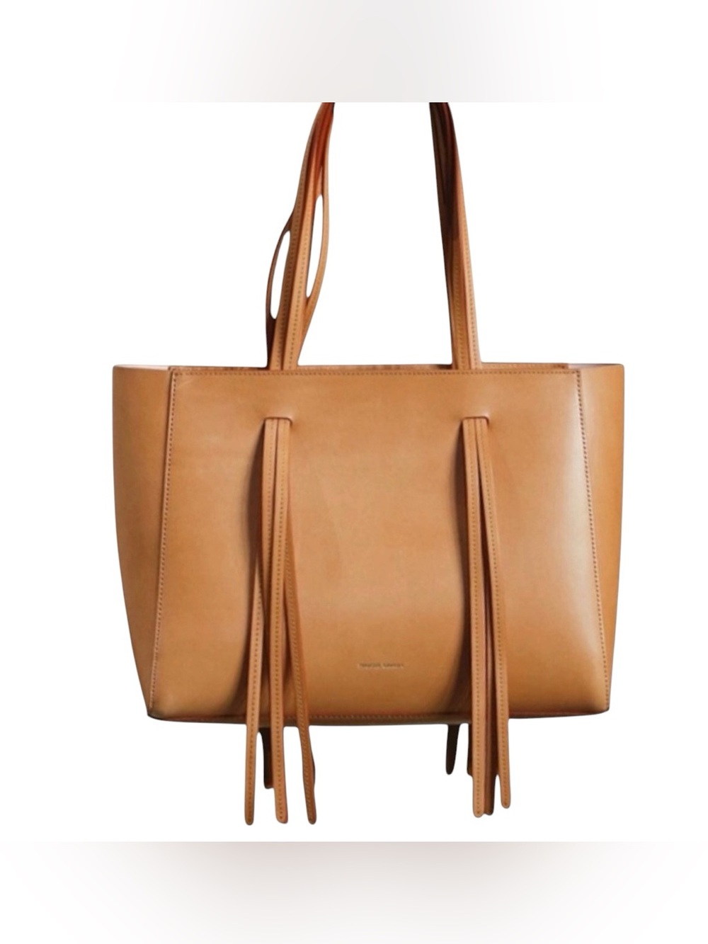 Mansur Gavriel Fringe Calf Leather Zip Closure Satchel Tote Shoulder Bag